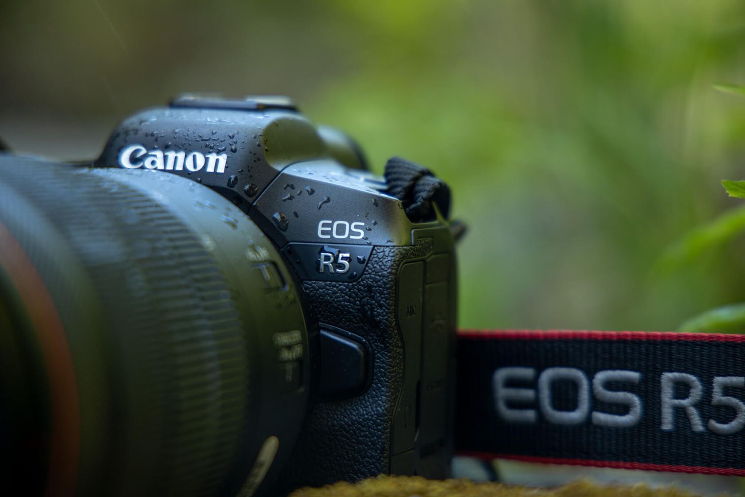 CANON EOS R5