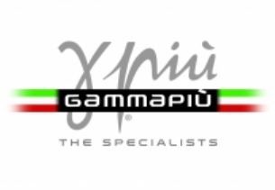 Gamma Piu Zero Assoluto
