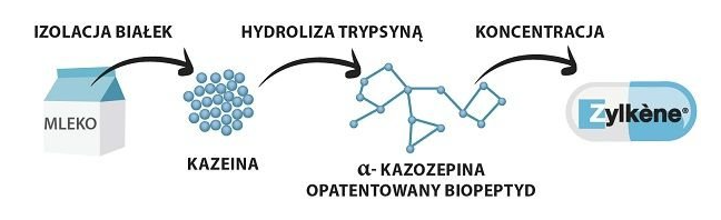 zylkene schemat