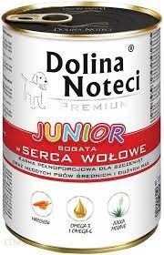 Dolina Noteci Junior-1