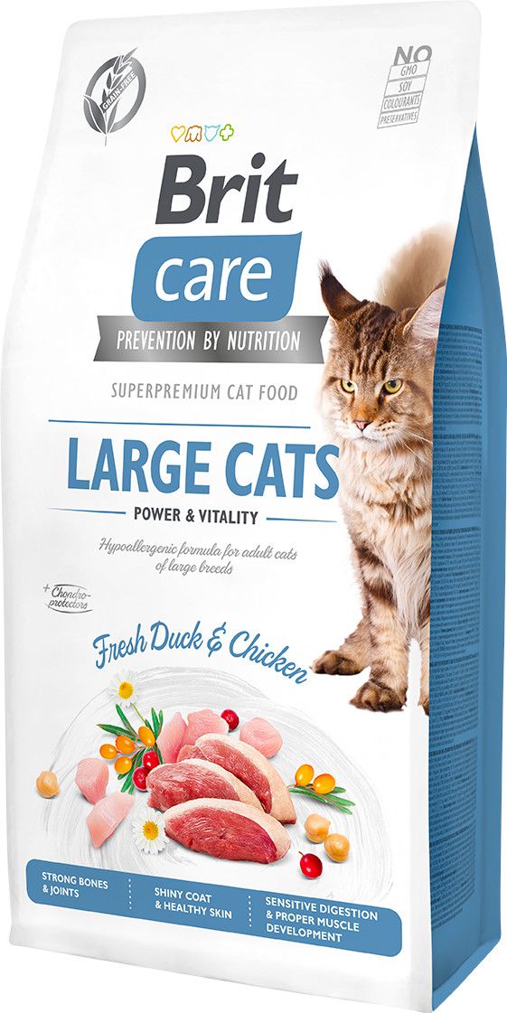 BRIT care cat large cats