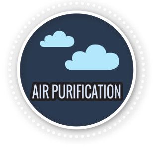 Activejet Selected