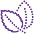ikona