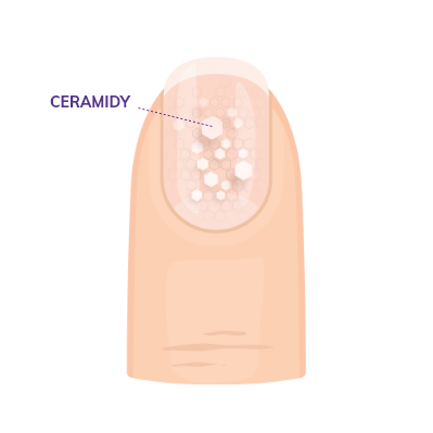 paznokcie wizualizacja ceramidy