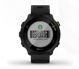 Garmin Forerunner 55