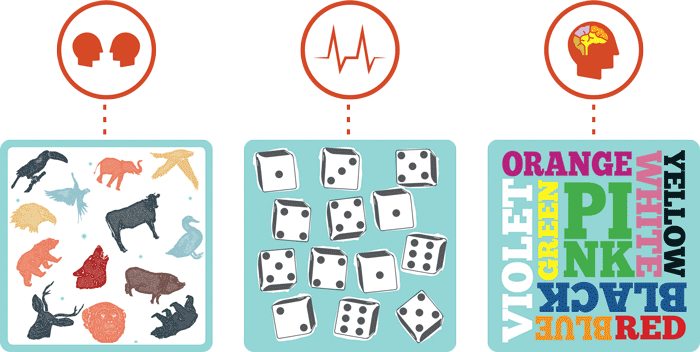 cortex diagram