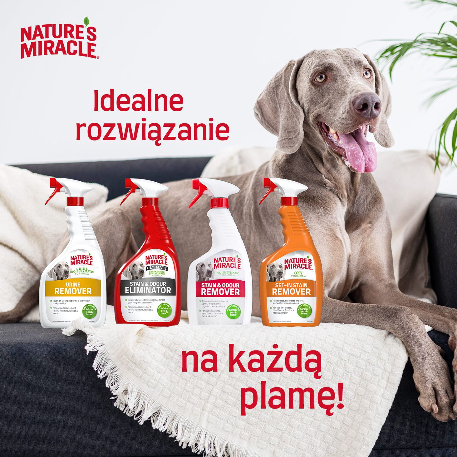 Nature-s-Miracle zdjęcie 6