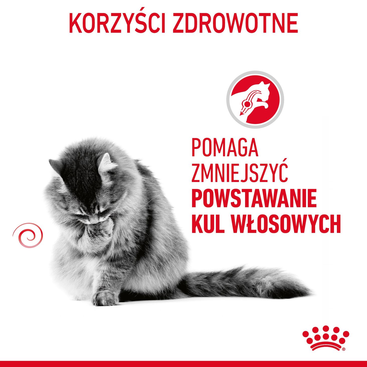 Royal Canin Hairball Care- korzyści