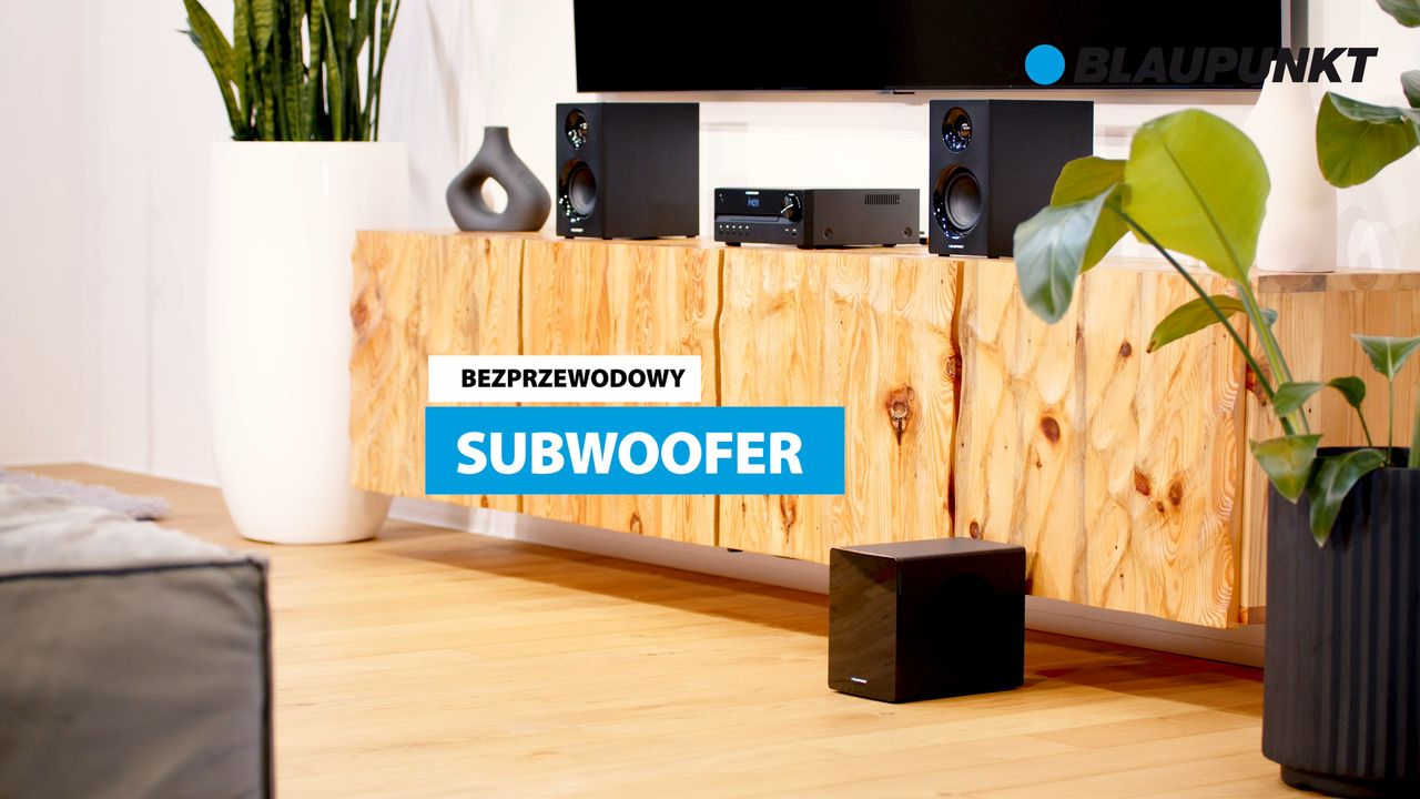 BLAUPUNKT MS55SUB