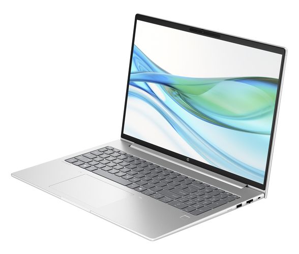 HP ProBook 465 G11 - 2