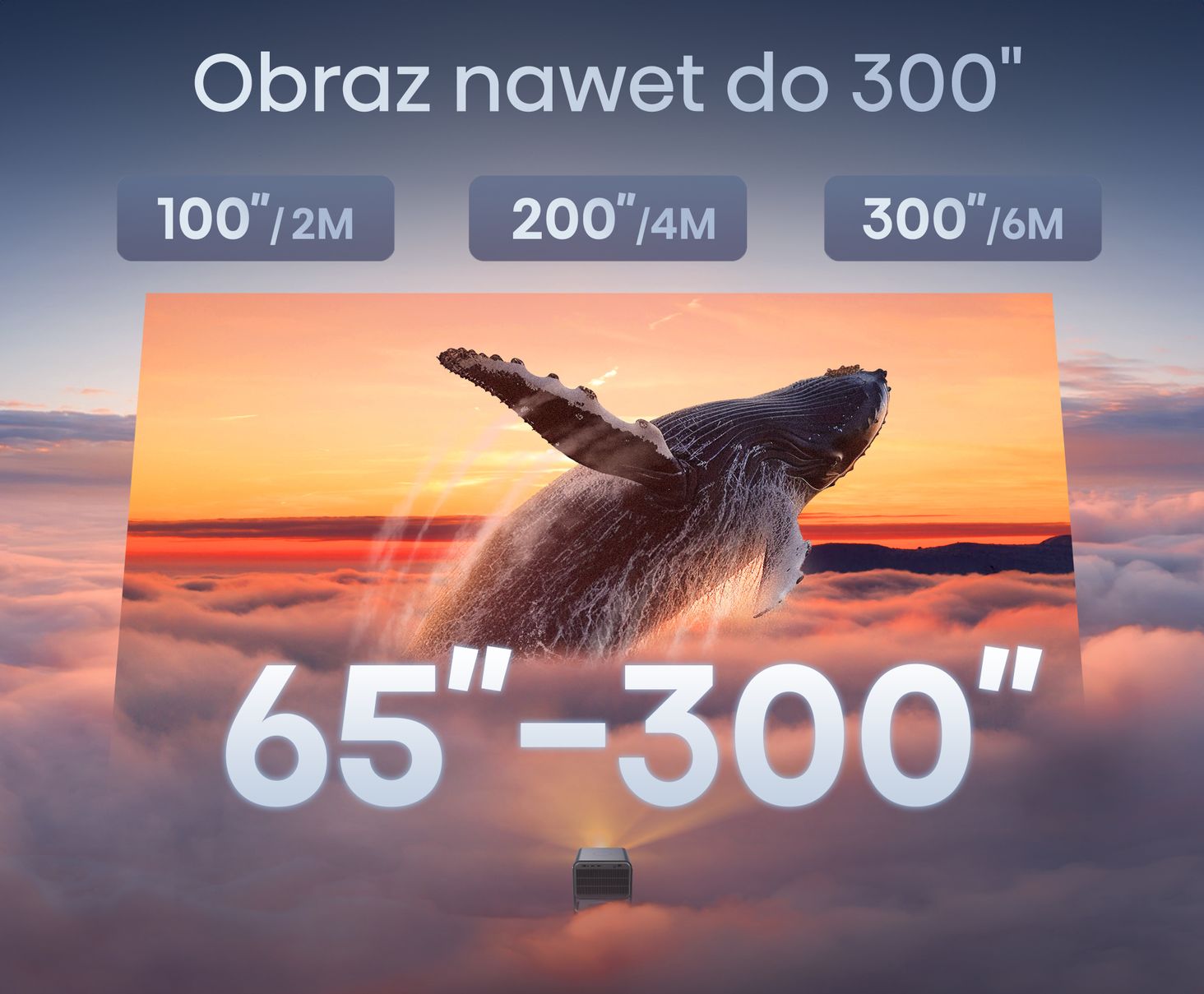 Hisense Dostosowanie wielkości obrazu od 65 do 300 cali