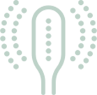 SEYSSO Color Basic - ikona główka szczoteczki