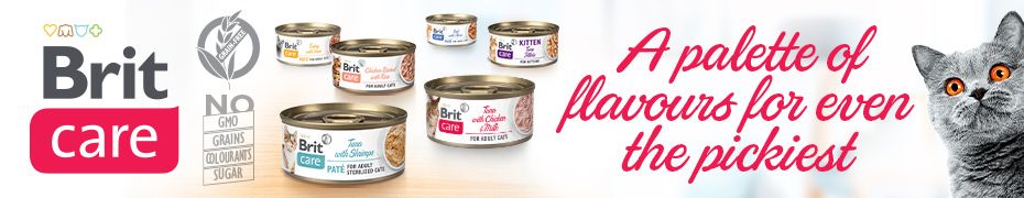 Brit care cat puszki baner