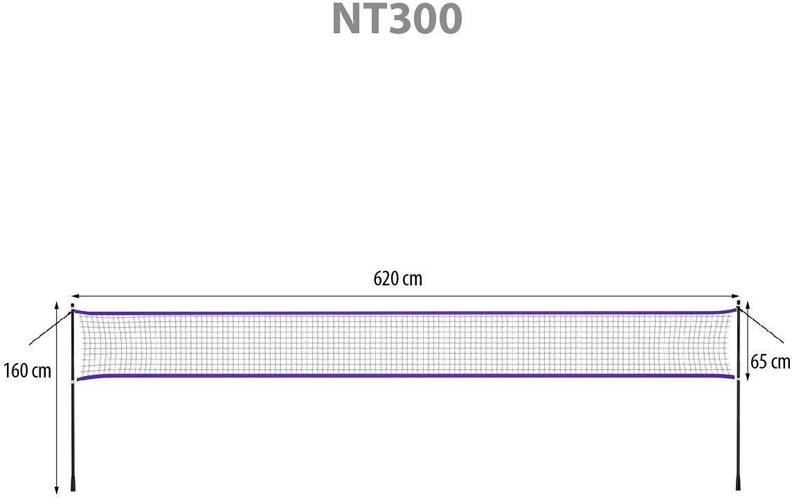 Nils NT300