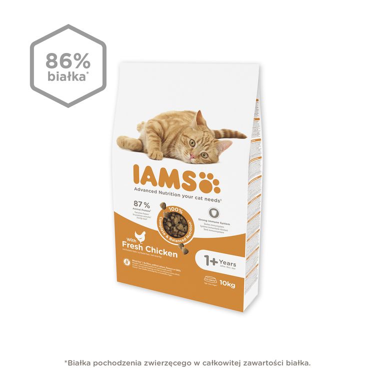 IAMS Advanced Nutrition – sucha karma dla kotów