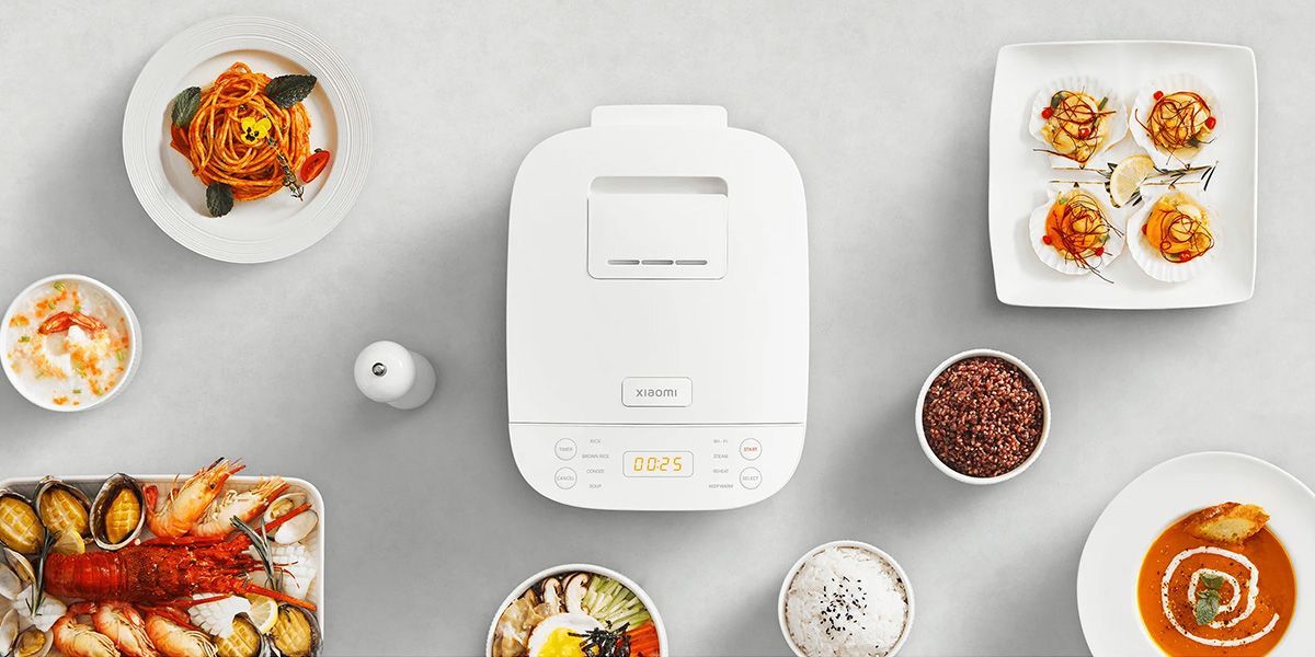 Multifunctional Rice Cooker (2)