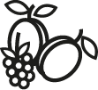 icon1
