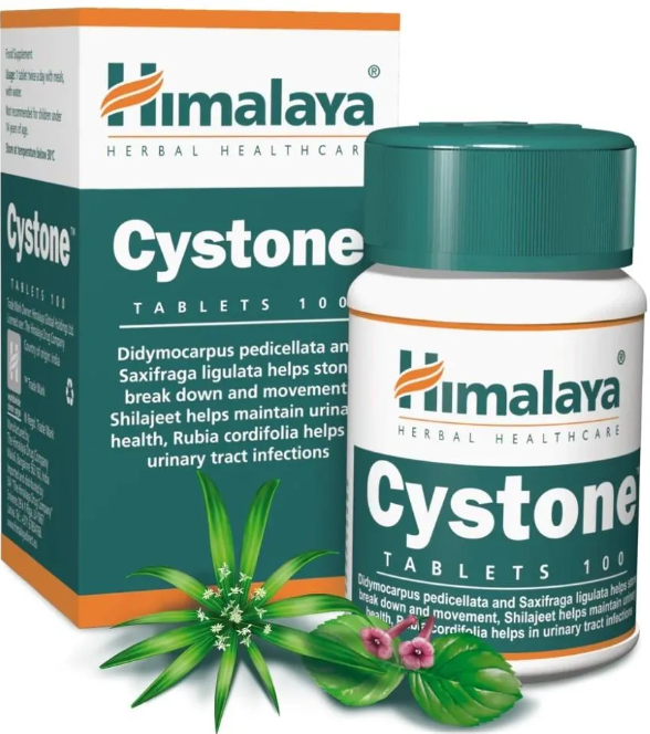 Himalaya Cystone 100 tabl. - 1
