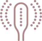 SEYSSO Color Basic - ikona główka szczoteczki
