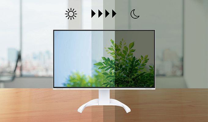 EIZO FlexScan automatyczna regulacja jasności