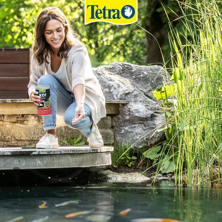 Tetra dawkowanie - 3