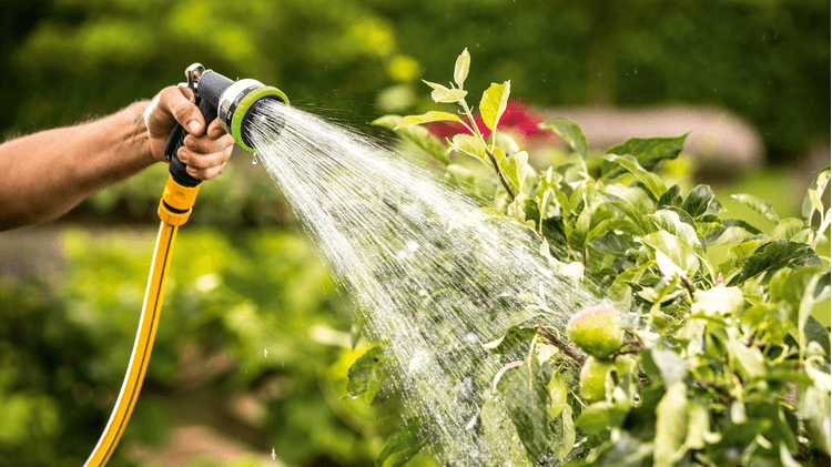 Bosch GardenPump 18V-2000 - 6