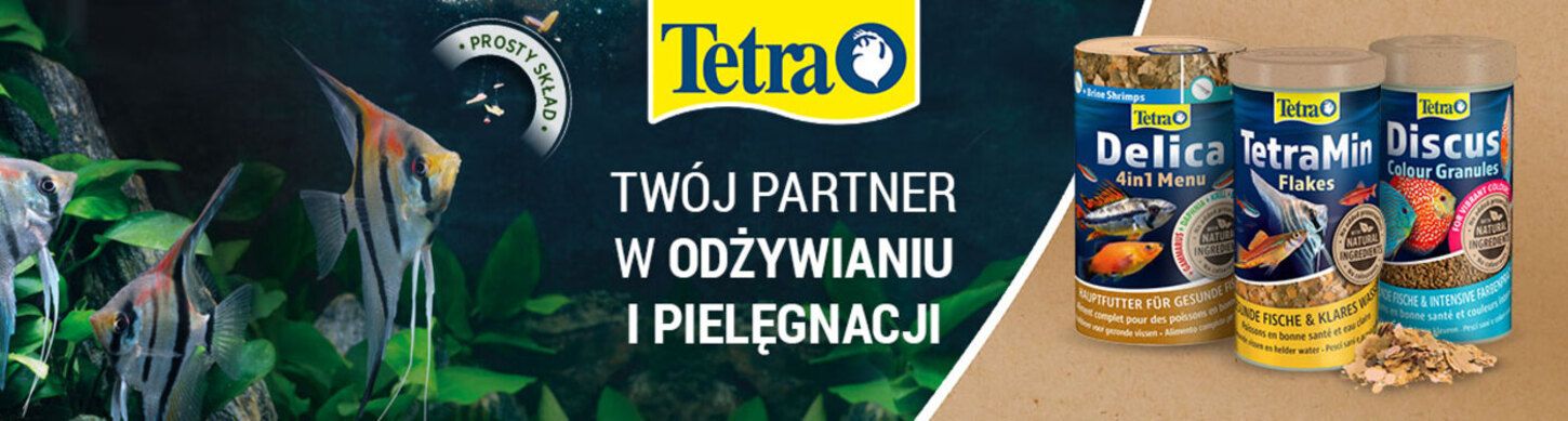 Tetra banner