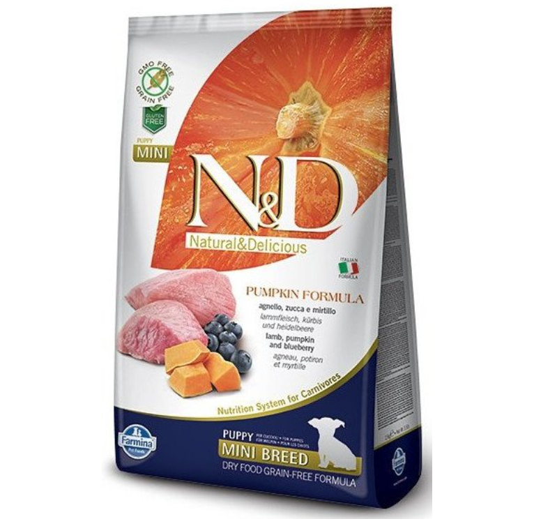 nf mini pumpkin