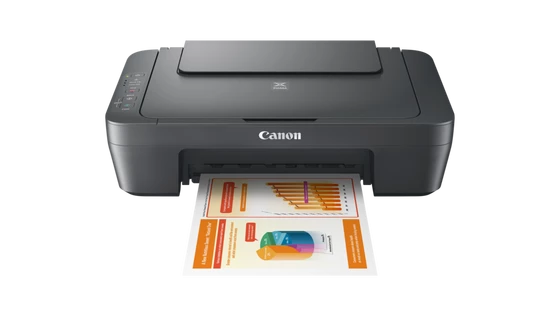 CANON PIXMA MG2551S
