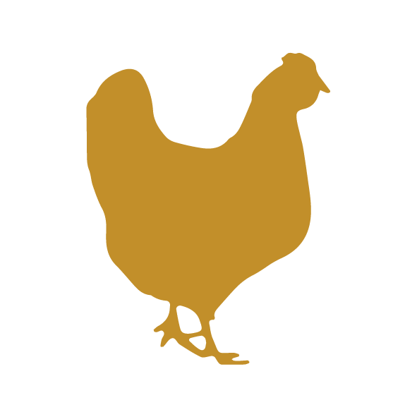 kurczak