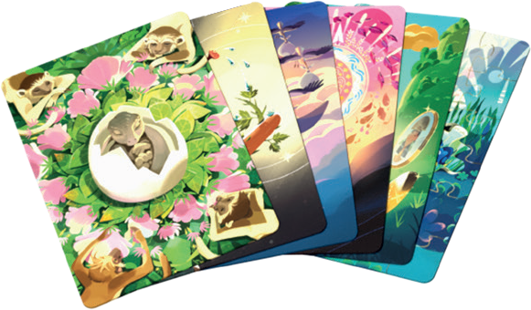 dixit zdj produktu 2
