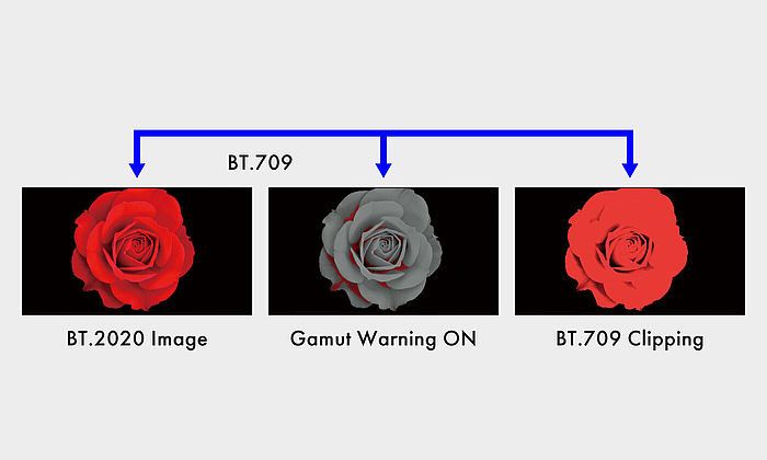 EIZO ColorEdge tryb Gamut Warning