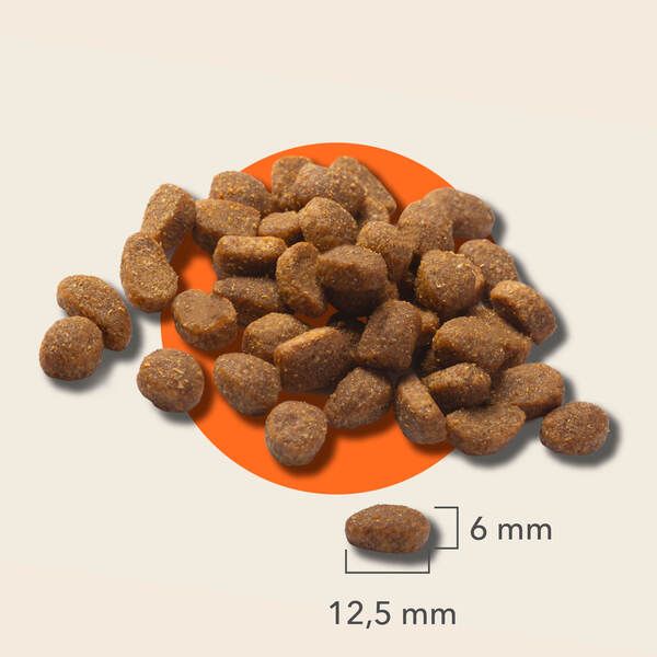IAMS Sugestie dotyczące karmienia