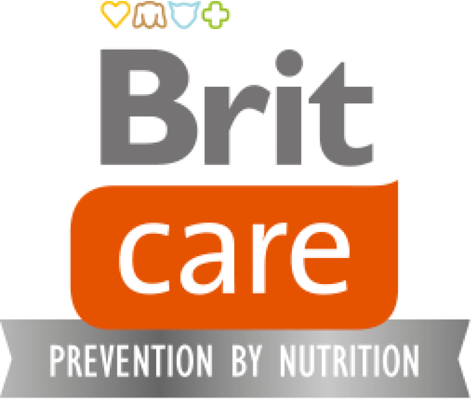 Brit care logo