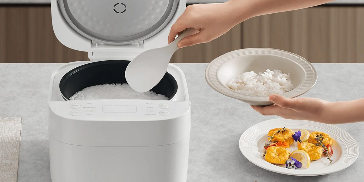 Multifunctional Rice Cooker (4)