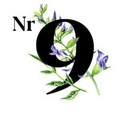 Ikona numer 9