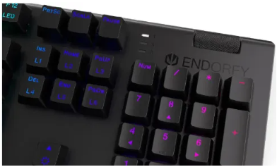 Endorfy Omnis Kailh RD RGB (EY5A030) - 7