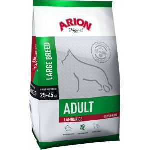 adult