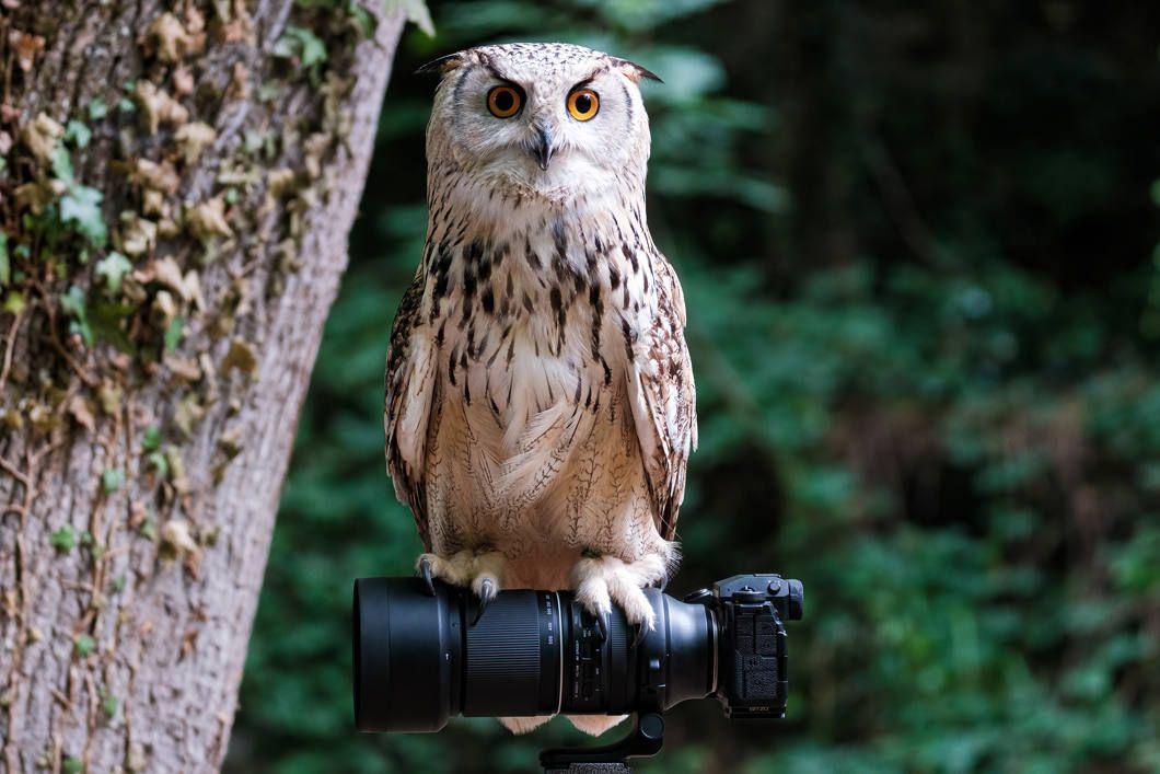 150-500mm F/5-6.7 Di III VC VXD FUJI X