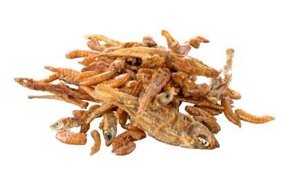 Tetra ReptoDelica GammarusMix-zdjęcie 3