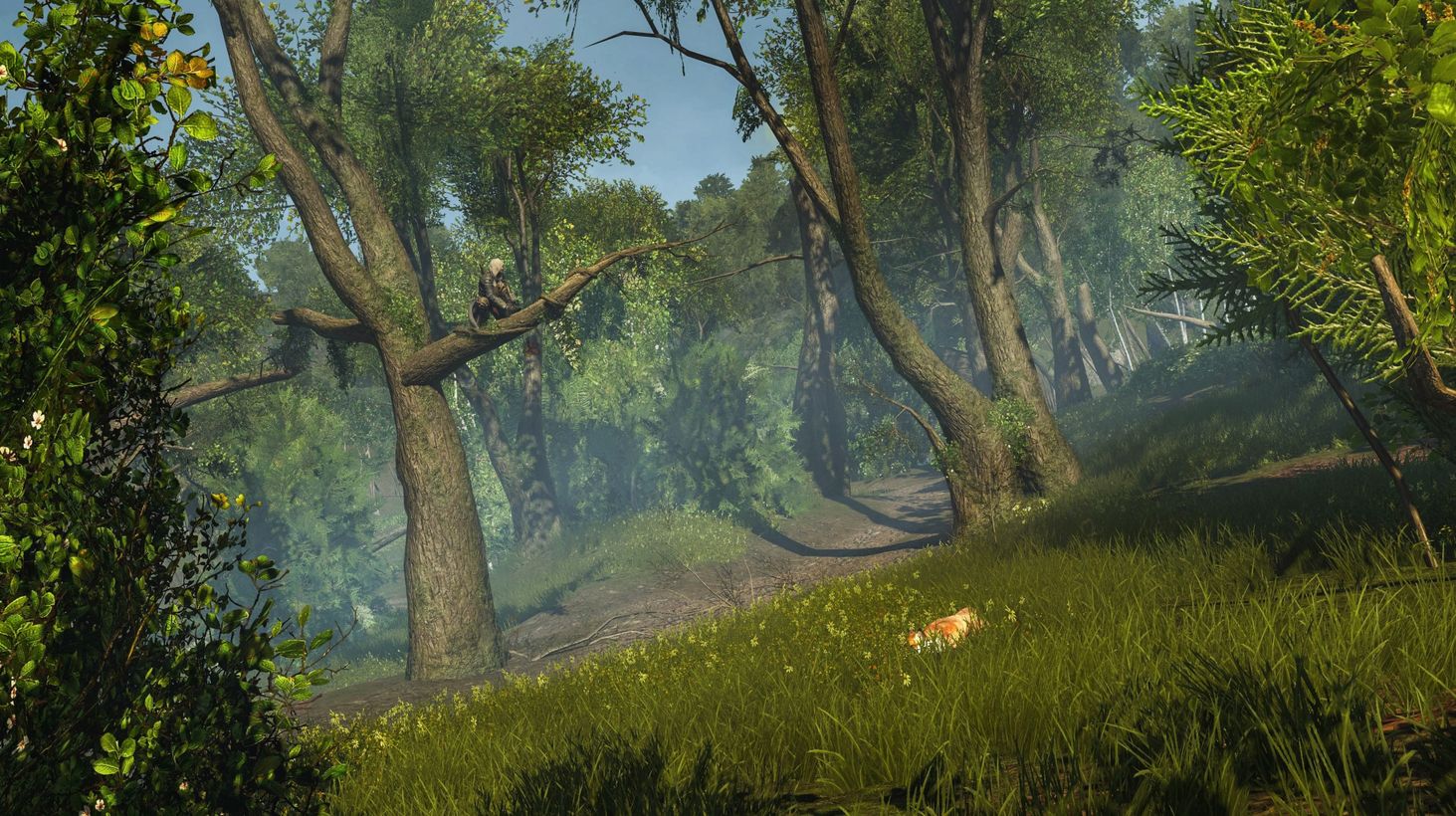 Assassin's Creed