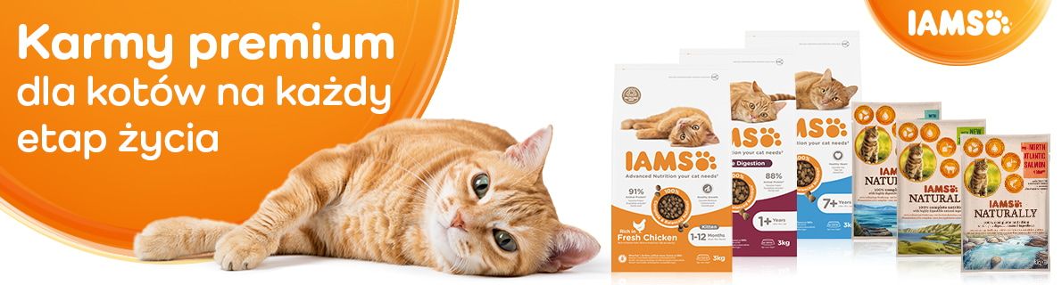 IAMS banner