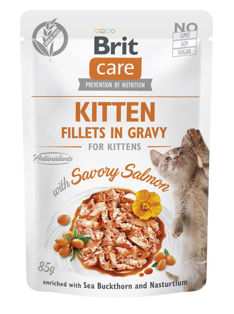 Brit Care Cat Kitten Fillets In Gravy With Savory Salmon