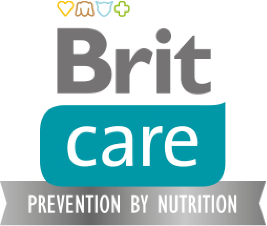 Brit care logo