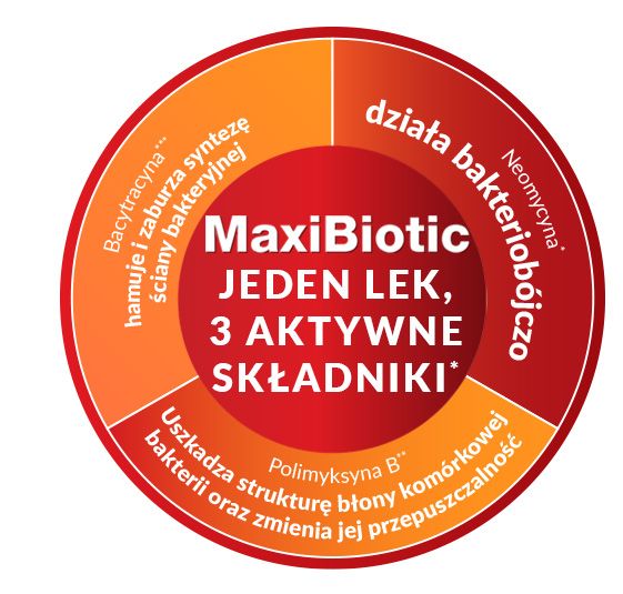 Jak działa maxibiotic