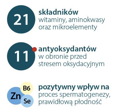 składniki