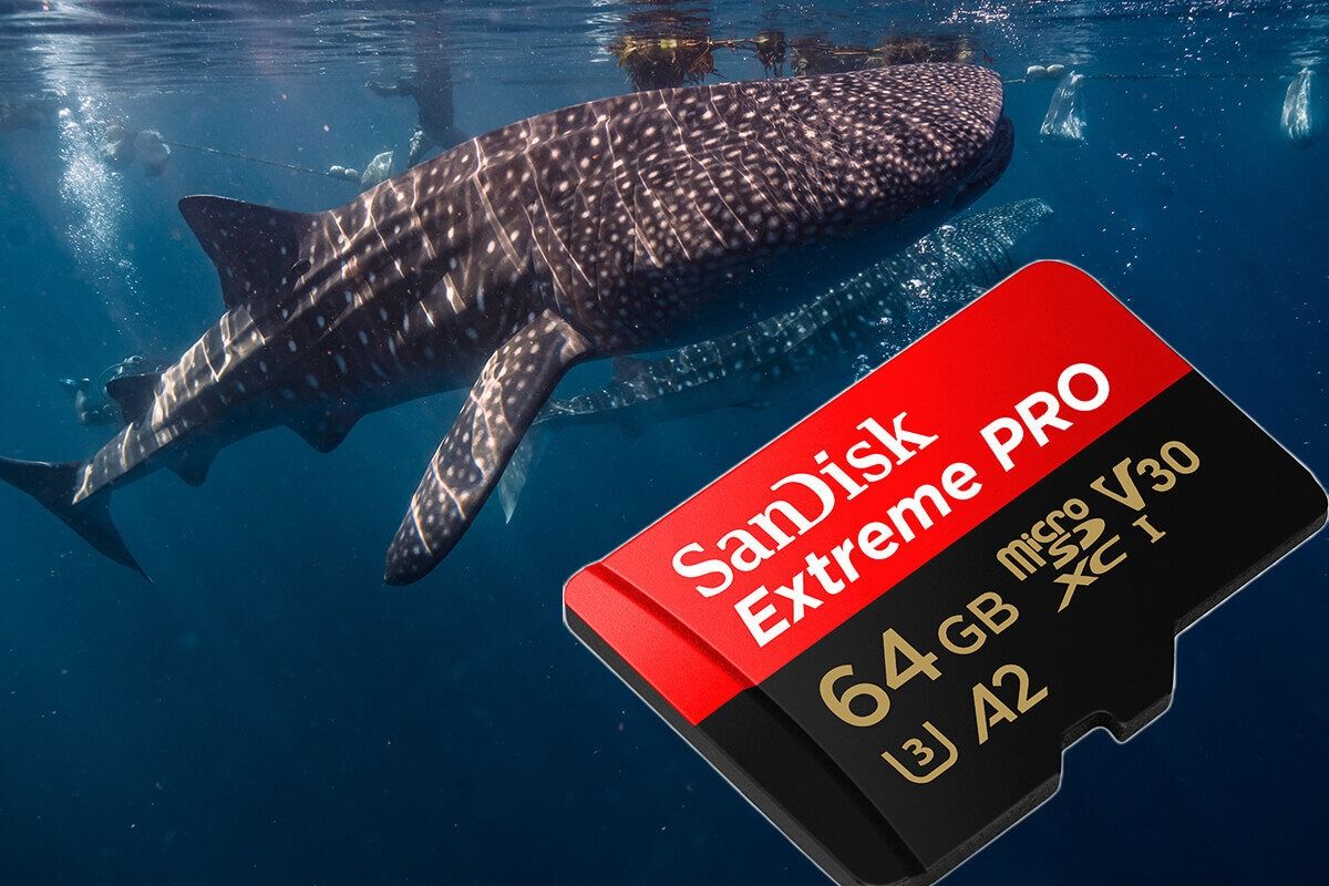 Sandisk Extreme Pro 64 Gb Microsdxc - 4
