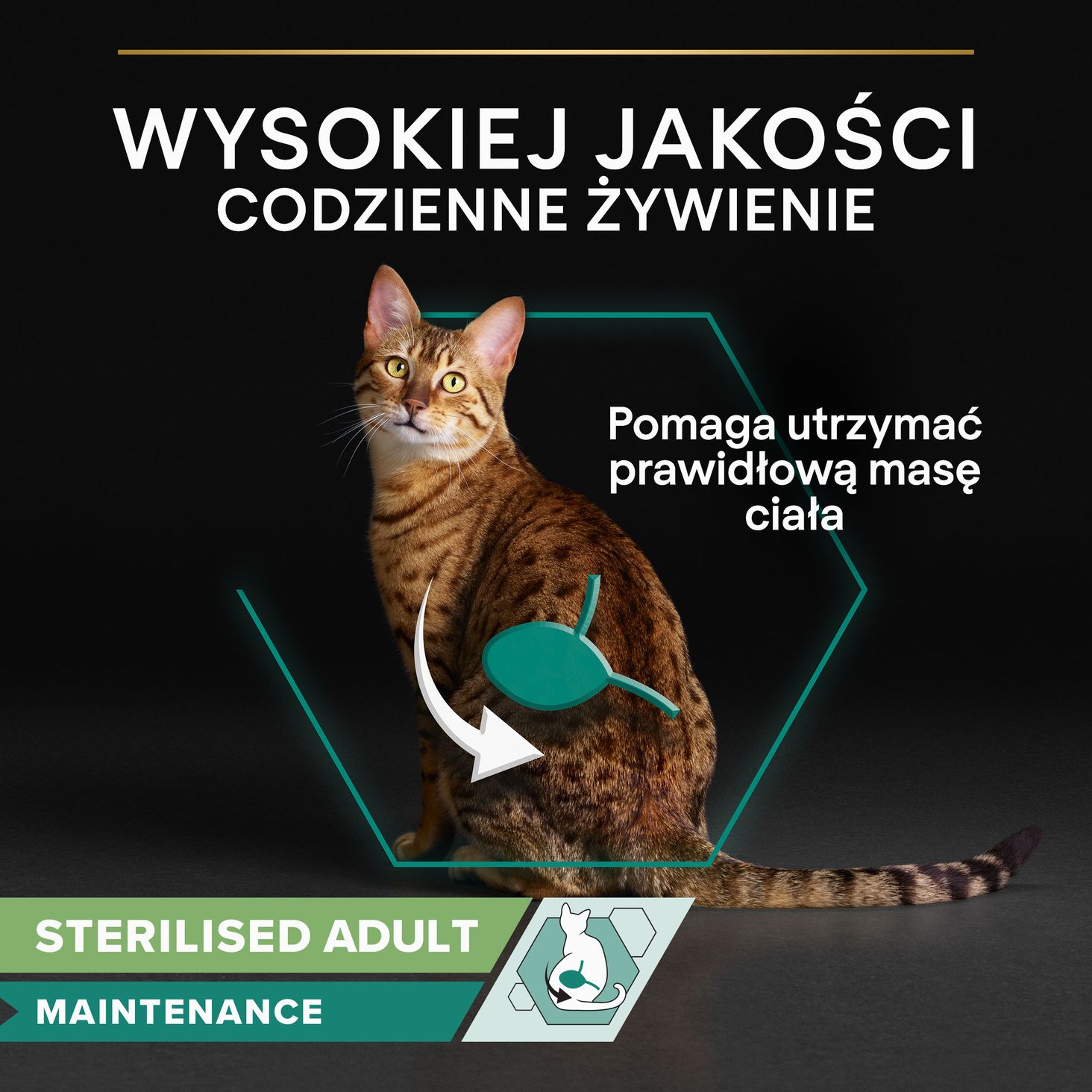 PURINA PRO PLAN sterilised z kurczakiem 85g info