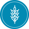 alergeny