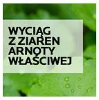 wyciąg z ziaren arnoty właściwej